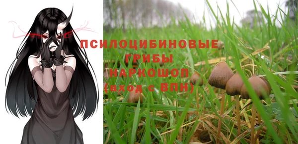 тгк Магадан