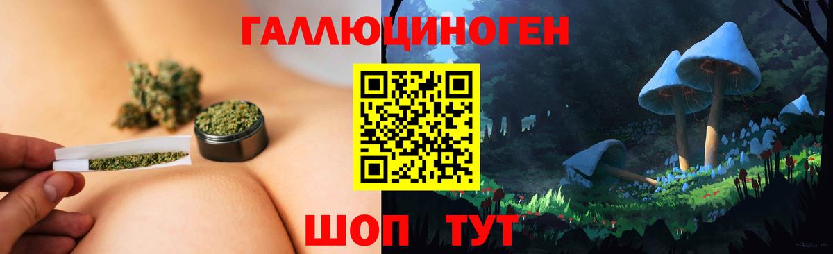 Галлюциногенные грибы Cubensis Туапсе