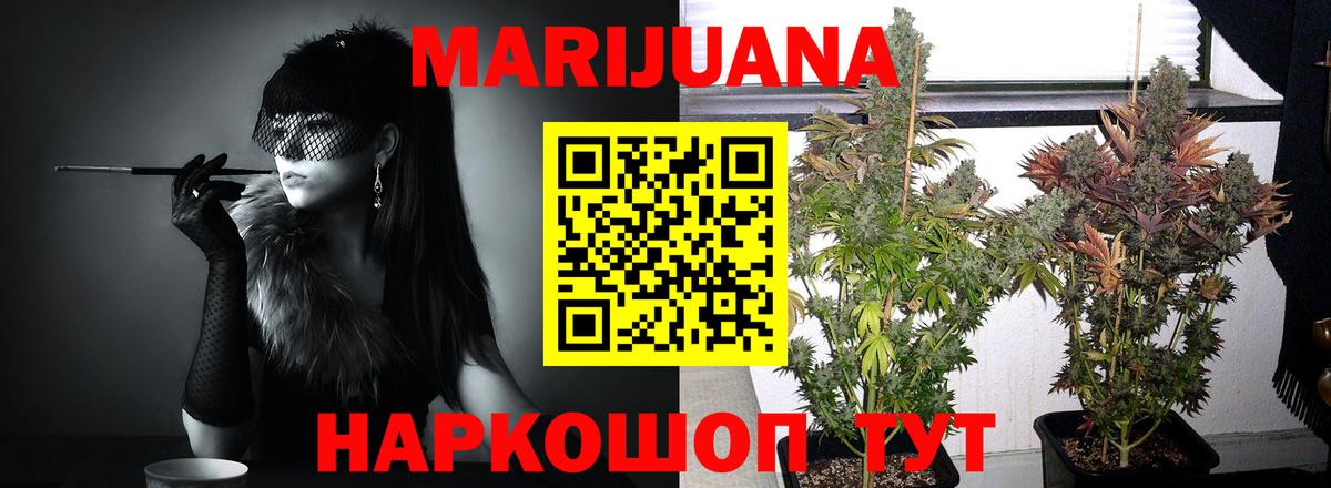 Шишки марихуана White Widow Туапсе